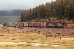 e/b D&RGW Train